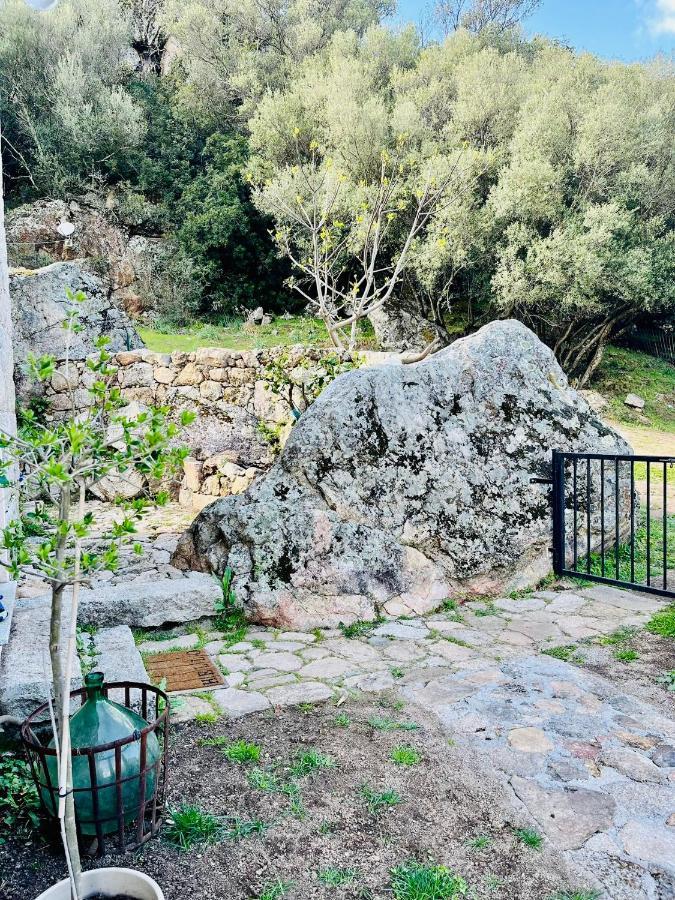 Maison De Campagne, Deux Chambres, Vue Sur Les Montagnes Sartene  Bagian luar foto