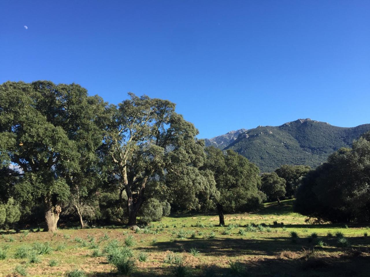 Maison De Campagne, Deux Chambres, Vue Sur Les Montagnes Sartene  Bagian luar foto